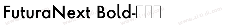 FuturaNext Bold字体转换
